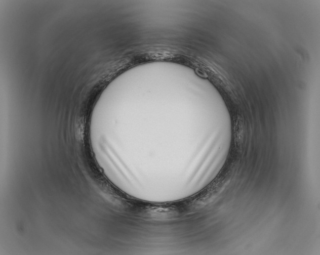 X0000111180315200907221054