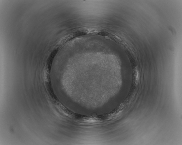 X0000111180316200907221054