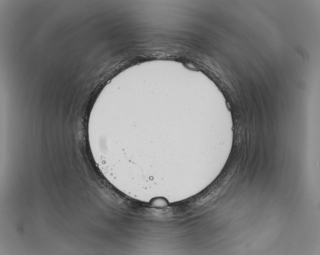 X0000111180317200907221054