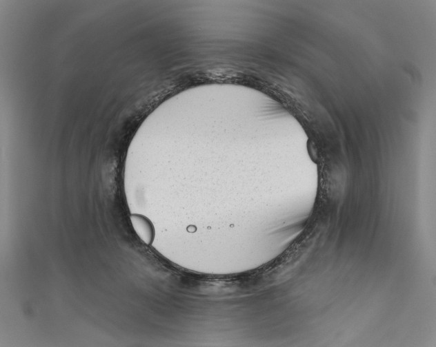 X0000111180319200907221054