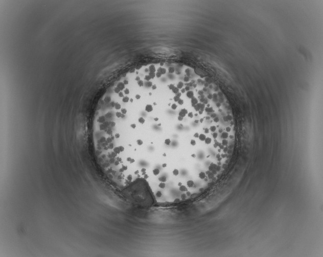 X0000111180320200907221054