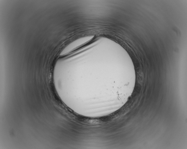 X0000111180324200907221054