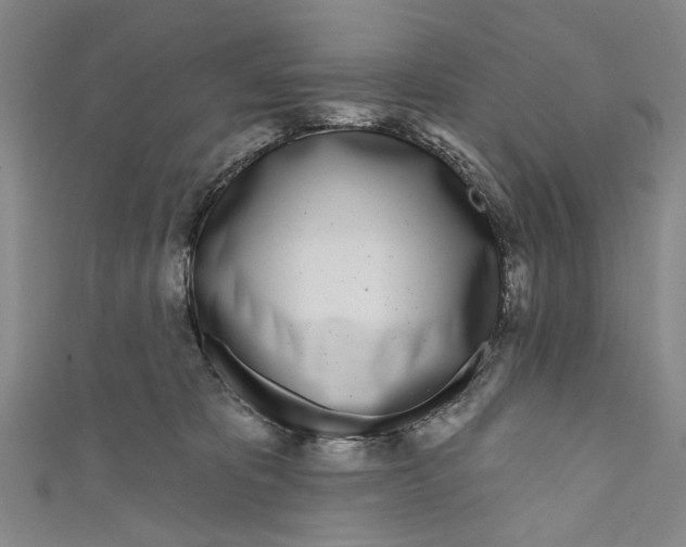 X0000111180325200907221054