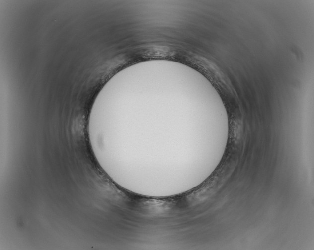 X0000111180326200907221054