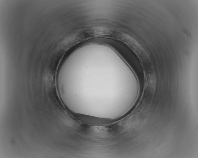 X0000111180327200907221054