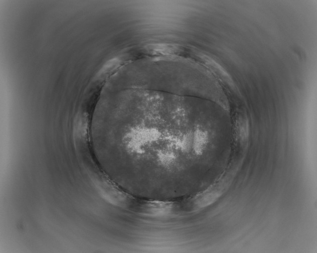 X0000111180328200907221054