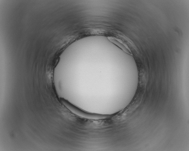 X0000111180329200907221054