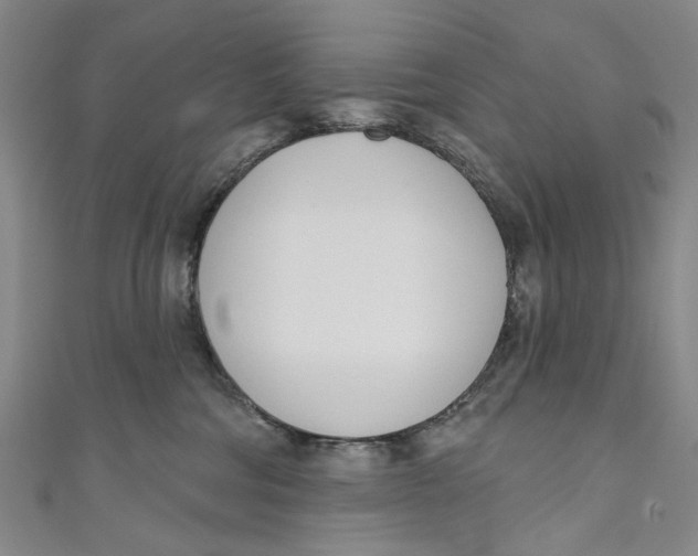 X0000111180330200907221054