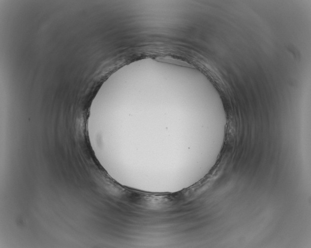 X0000111180333200907221054