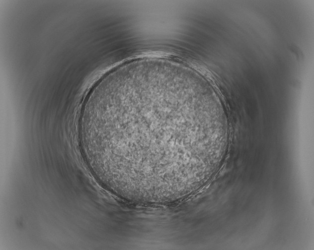 X0000111180337200907221053