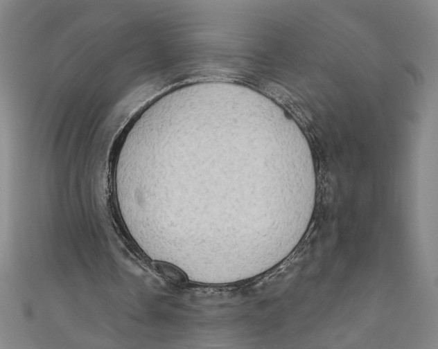 X0000111180338200907221053