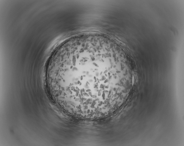 X0000111180339200907221053