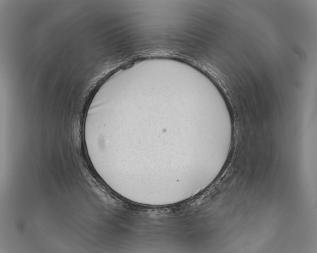 X0000111180345200907221053