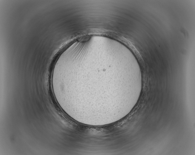 X0000111180346200907221053