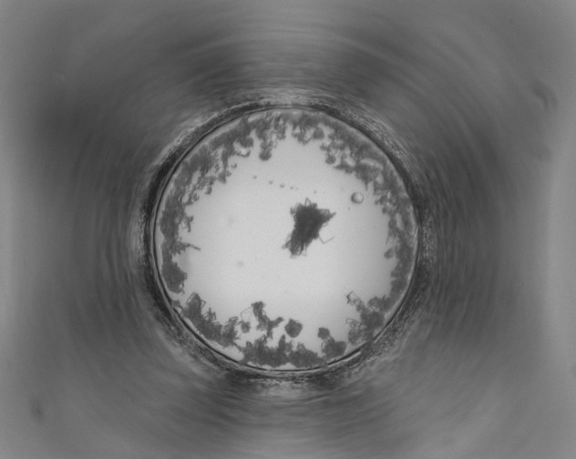 X0000111180347200907221053