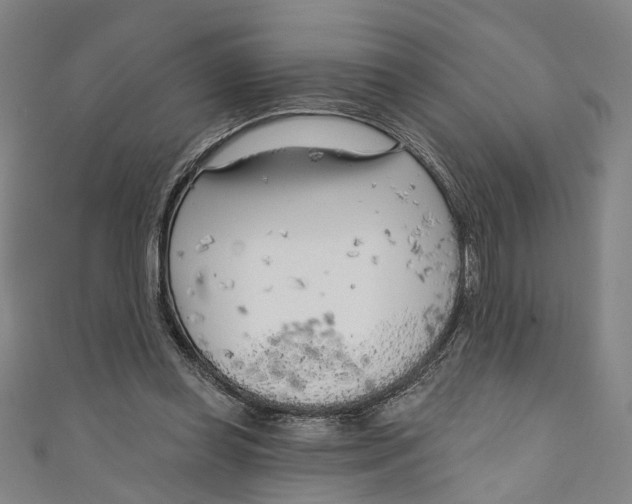 X0000111180349200907221053