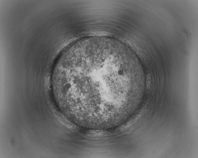 X0000111180351200907221053