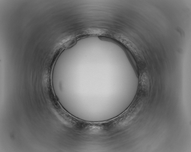 X0000111180352200907221053