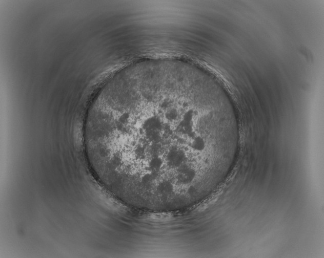 X0000111180353200907221053