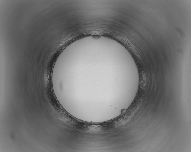 X0000111180355200907221053