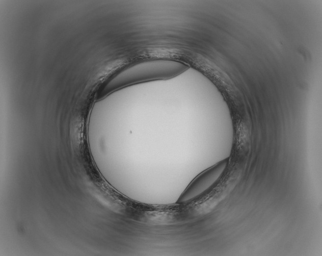 X0000111180356200907221053