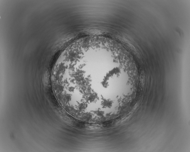 X0000111180359200907221053