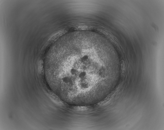 X0000111180361200907221053