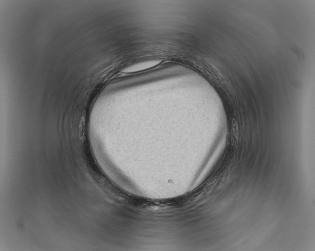 X0000111180364200907221053