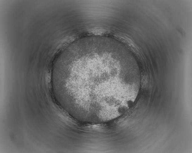 X0000111180365200907221053