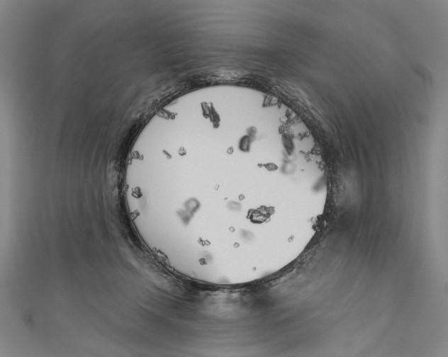 X0000111180366200907221053