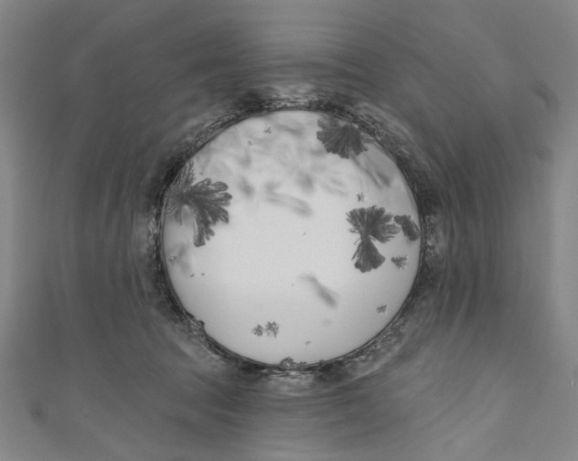 X0000111180369200907221053