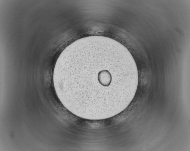 X0000111180370200907221053