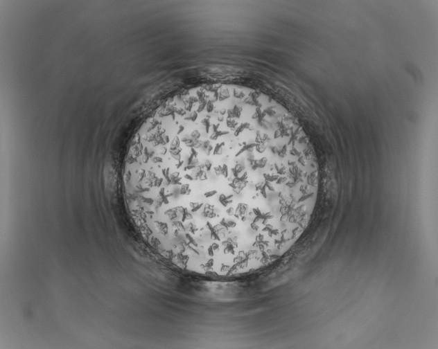 X0000111180371200907221053