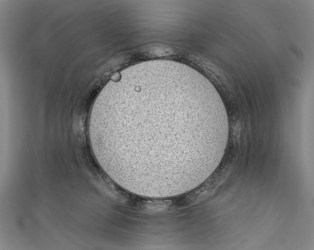 X0000111180373200907221053