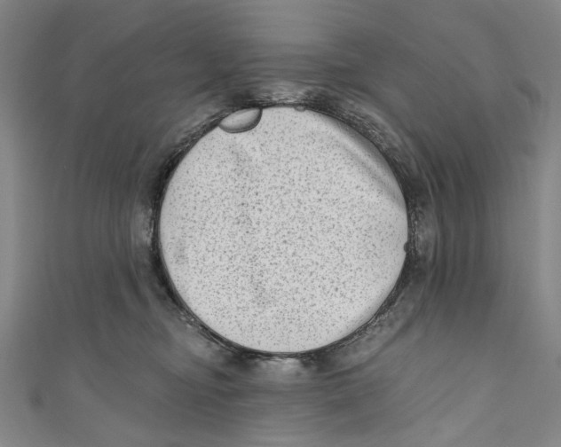 X0000111180374200907221053