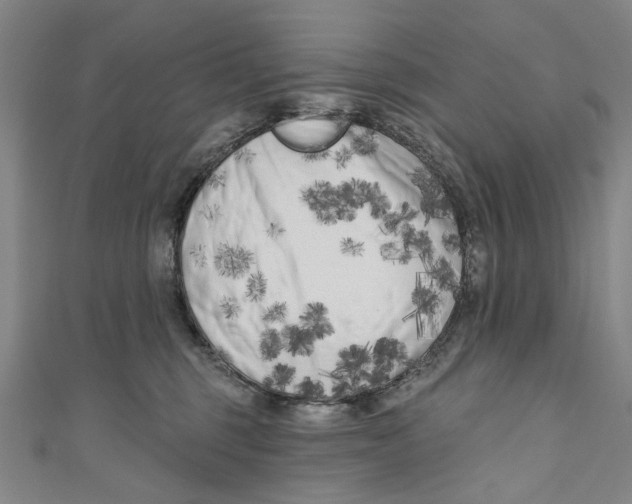 X0000111180375200907221053