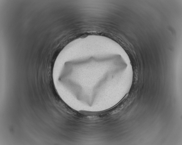 X0000111180376200907221054