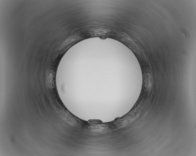 X0000111180378200907221054