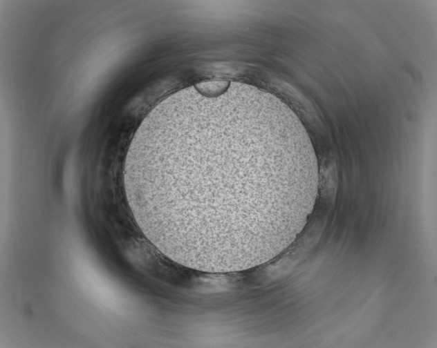 X0000111180381200907221054