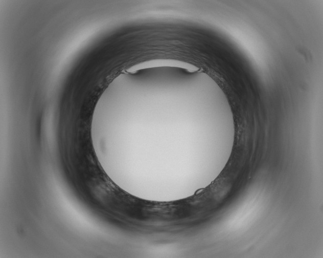 X0000111180383200907221054