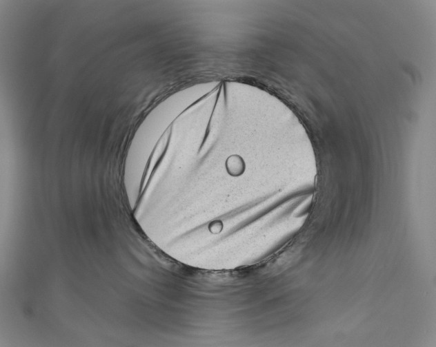 X0000111180384200907221054