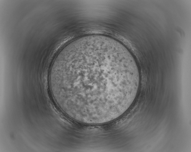 X0000111180386200907221053