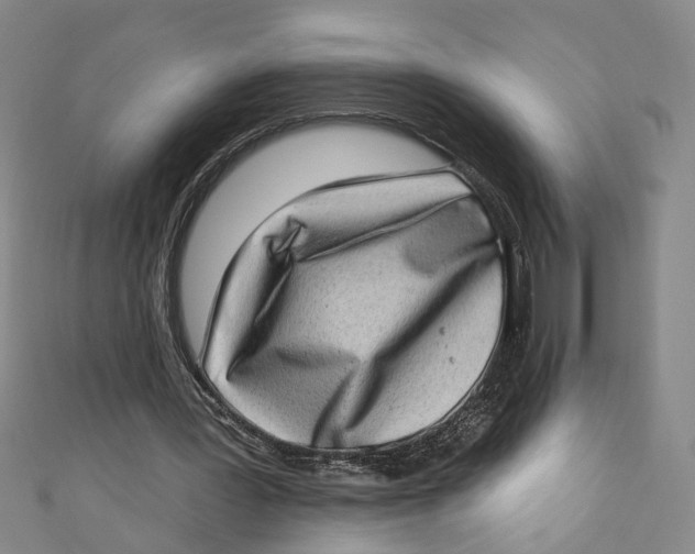 X0000111180387200907221053