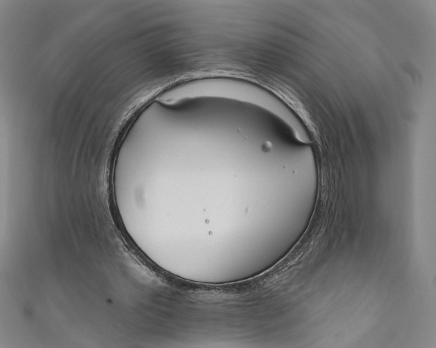 X0000111180389200907221053