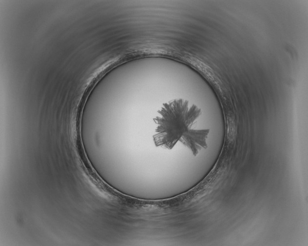 X0000111180390200907221053