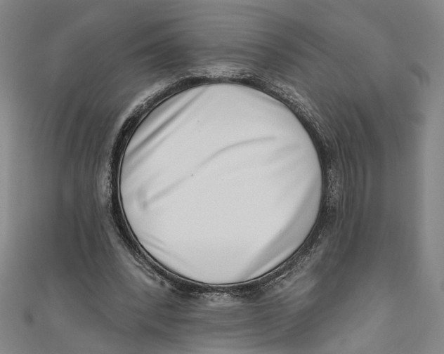 X0000111180392200907221053