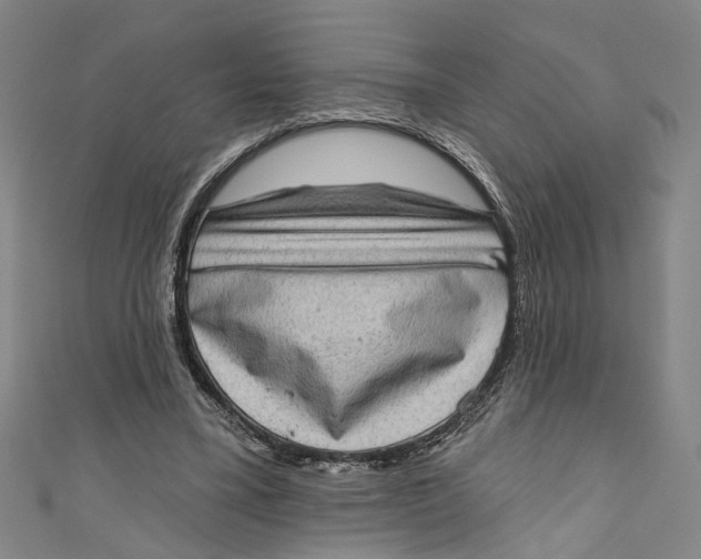 X0000111180395200907221053