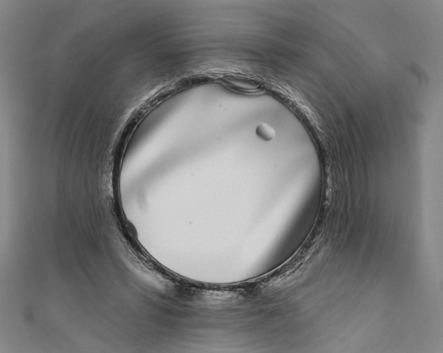 X0000111180399200907221053