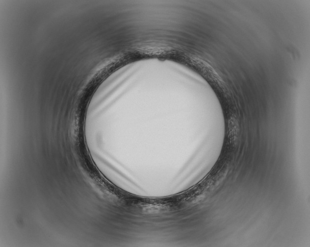 X0000111180400200907221053