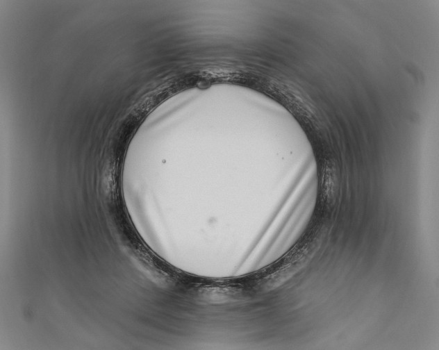 X0000111180408200907221053